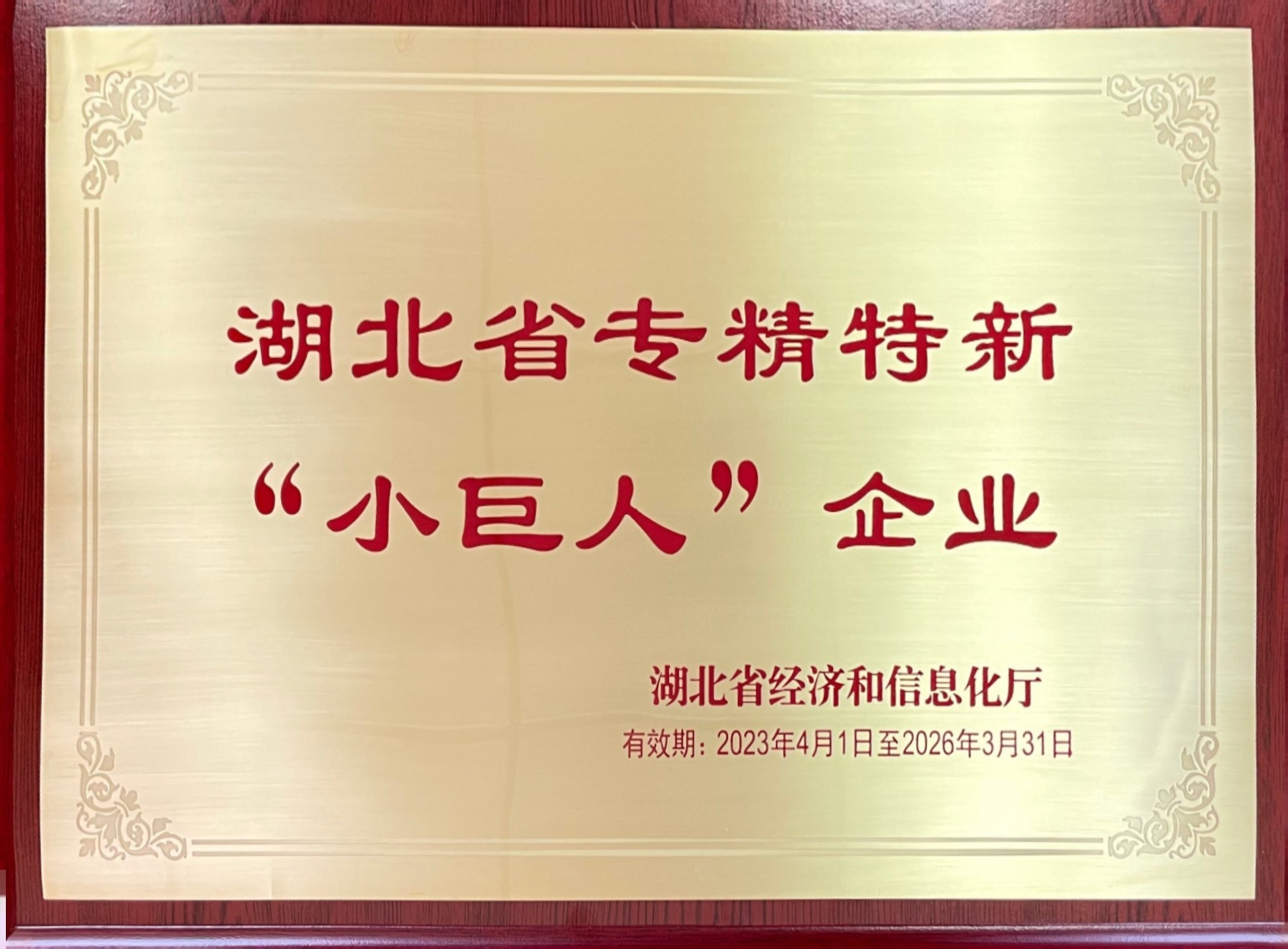 湖北省專精特新“小巨人”企業(yè)